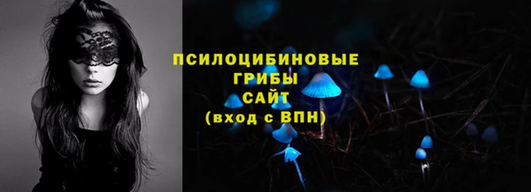 прущий лед Надым