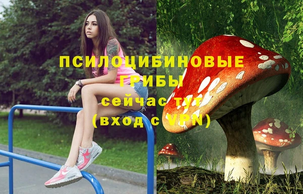 прущий лед Надым