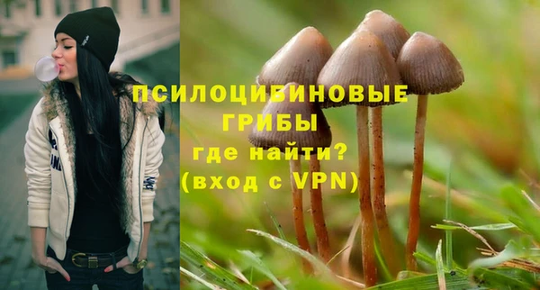 хмурый Наволоки