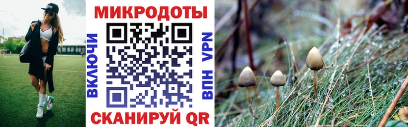 Псилоцибиновые грибы ЛСД  Инта 
